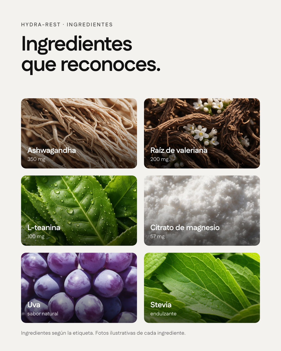Hydra-Rest — ingredientes
