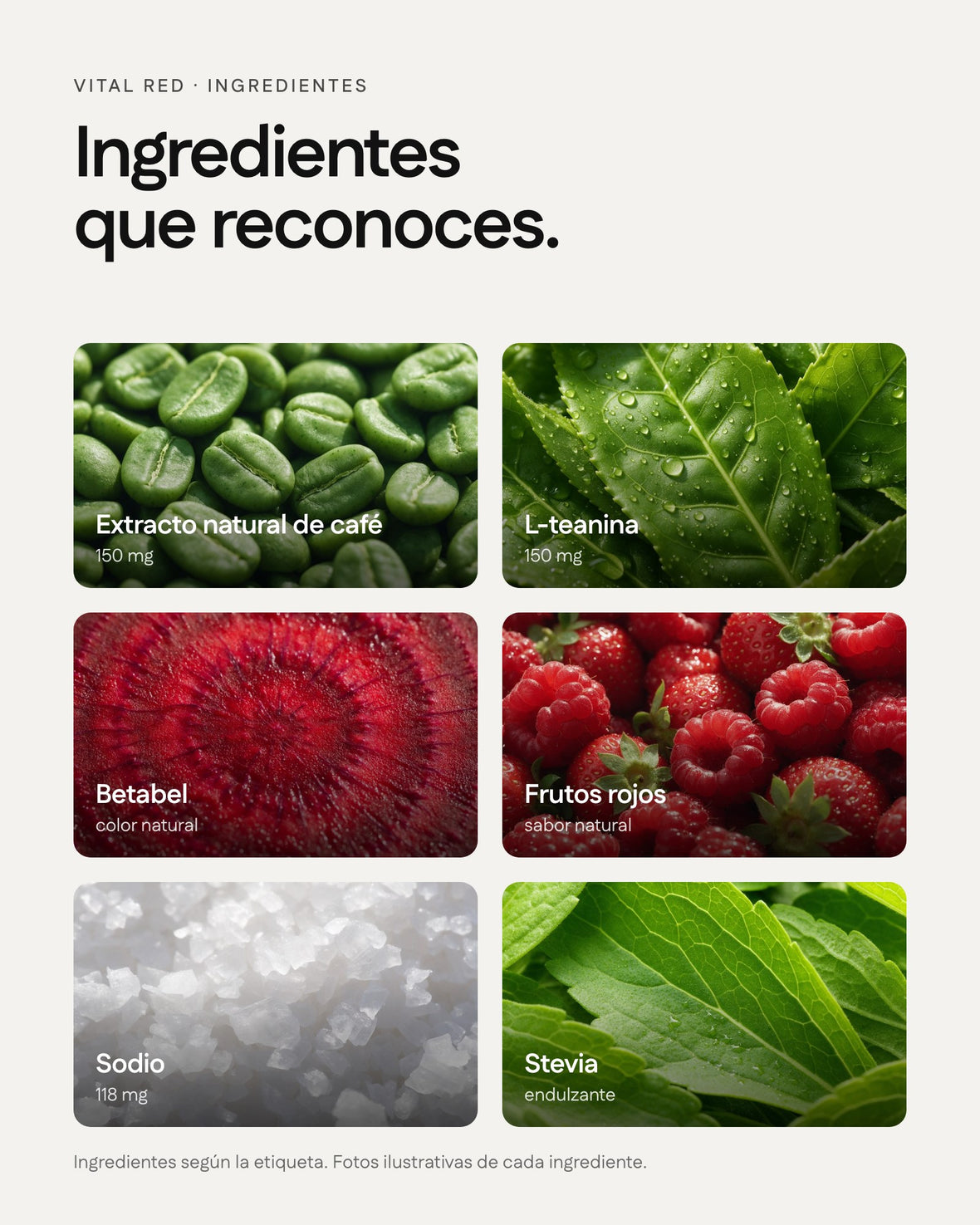 Vital Red — ingredientes